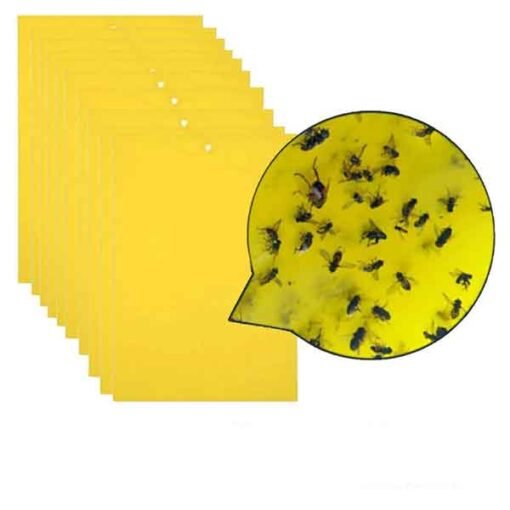 Flugnagildra án eiturefna fyrir ávaxtaflugur - Image 6
